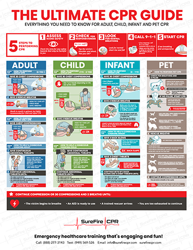 CPR Guide Infographic